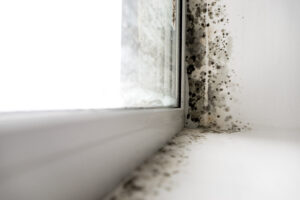 Bartletts Solicitors Housing Disrepair Claims 