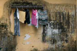 Council Tenants' Rights Damp And Mould UK