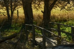 How Long Does Probate Take Without A Will