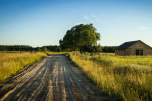 What Is The Order Of Inheritance Without A Will
