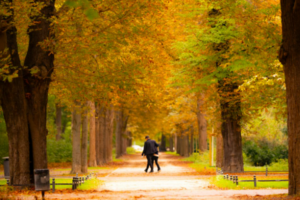 What Power Does An Executor Of A Will Have UK