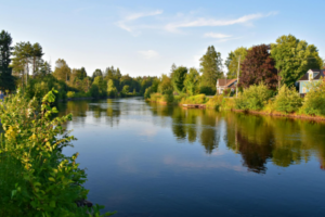 Do I Need A Lawyer For Probate