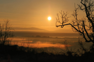 Do I Need A Probate Attorney