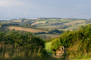Lasting Power Of Attorney Solicitors Wrexham