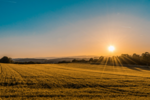 What Questions To Ask A Probate Attorney